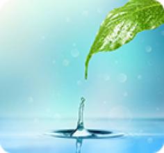 涂料流平劑、潤濕劑